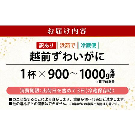 ふるさと納税 浜茹で 越前がに 約900g〜1.0kg × 1杯（茹で前重量） 食べ方しおり付き【雄 ズワイガニ ずわいがに かに カニ 蟹 .. 福井県越前町