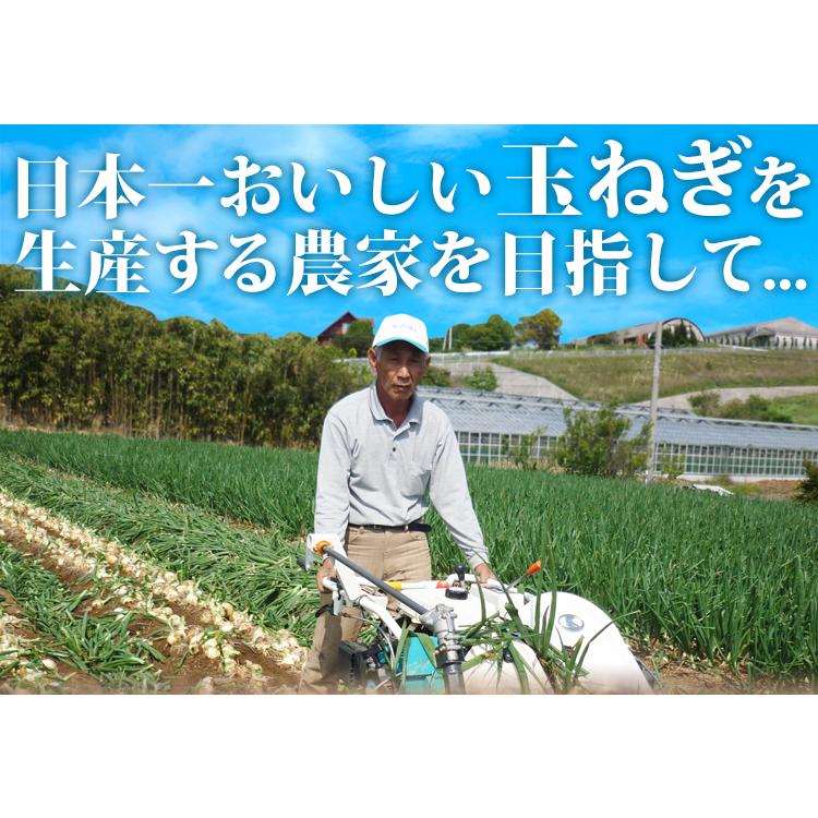 玉ねぎ 10kg 淡路島 (5kg×2) 減農薬 有機肥料栽培 かくし玉 今井ファ−ム たまねぎ タマネギ 玉葱 ＃かくし玉10キロ＃