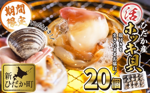 北海道産 活ホッキ 貝 20個