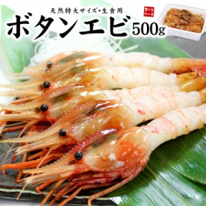 超特大ボタンエビ500g（9～12尾） ぷりっぷり、甘みたっぷりの天然ぼたんエビ 送料無料 yd5[[ぼたんエビ500g]