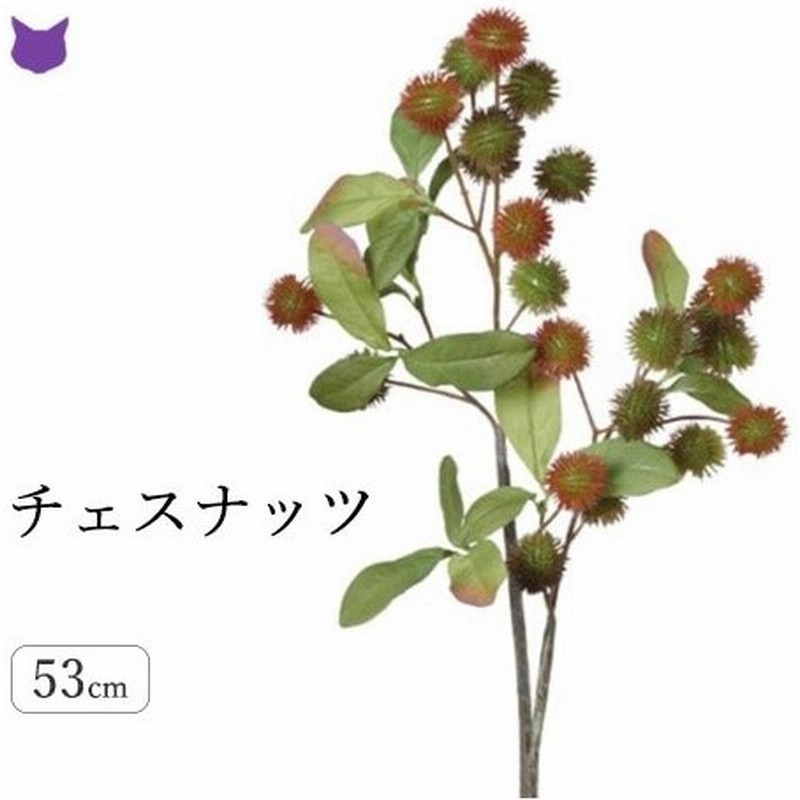 チェスナッツ フェイク グリーン 観葉植物 造花 リアル 種類 50cm インテリア 枝 もの 枝物 きり枝 木の枝 おしゃれ 花材 アスカ Asca 通販 Lineポイント最大0 5 Get Lineショッピング