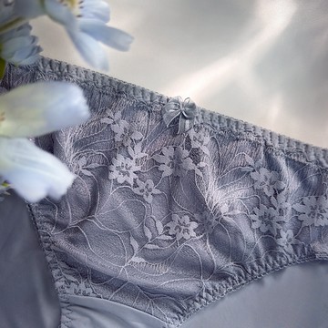 【大成內衣】黛莉雅．蕾絲內褲  PA4J-4983 精美蕾絲雕花 配褲區