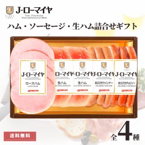 お歳暮 ハム ソーセージ 生ハム 詰め合わせ ギフト 送料無料 御中元 肉 ローマイヤ スターゼン 国内製造 ロースハム あらびき ウインナー