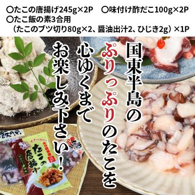 ふるさと納税 国東市 漁師直伝のおススメ!プリップリのたこ料理3種セット_29243A