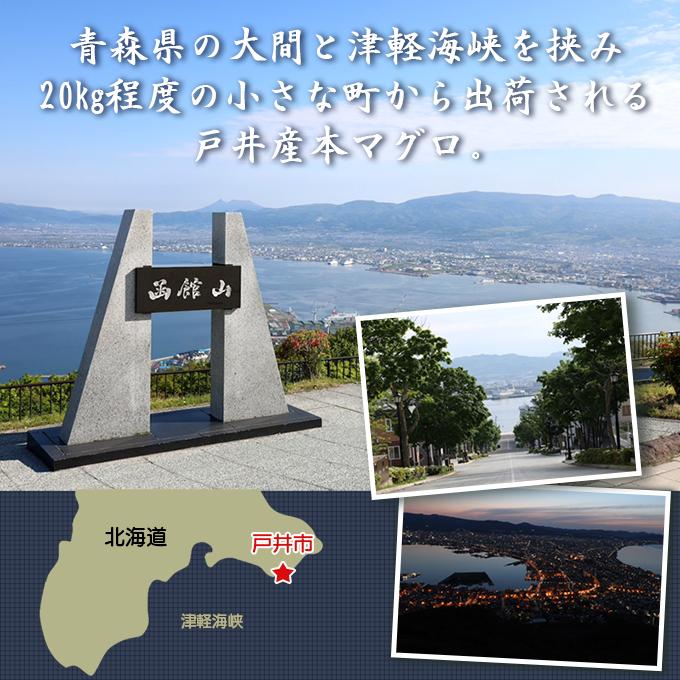 北海道 函館市 戸井 産 本マグロ 大トロ 250g 冷凍 ブロック クロマグロ 国産 津軽海峡 戸井 函館 大とろ トロ とろ 本まぐろ 本鮪 まぐろ マグロ まぐろ 鮪 食