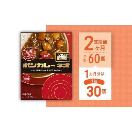 ふるさと納税 徳島県 徳島市 ボンカレーネオ（中辛）30個×2回　計60個