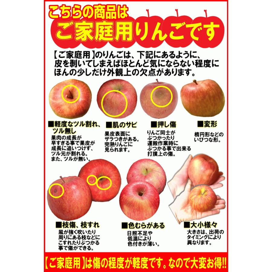 あすつく 青森 りんご 3kg箱 サンふじ 家庭用 送料無料 リンゴ 訳あり 3キロ 箱 旬シリーズ★サンふじ 家 3kg箱