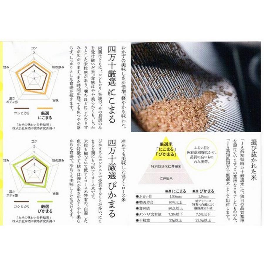 米 お米 新米 10kg ぴかまる (5kg×2) 特別栽培米 お米マイスター厳選 高知県産 令和5年産