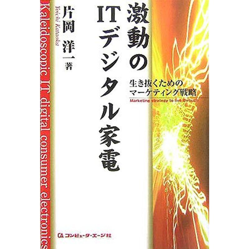 激動のIT・デジタル家電?生き抜くためのマーケティング戦略