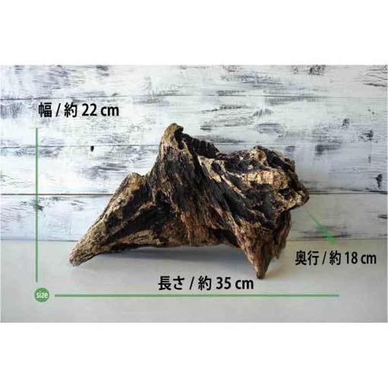 流木 爬虫類 登り木 あく抜き処理 煮沸消毒済 トカゲ ヤモリ ケージ