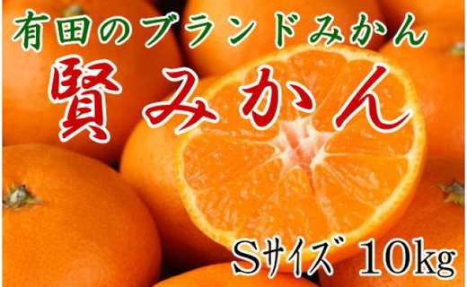 [秀品]有田のブランド「賢みかん」10kg(Sサイズ)