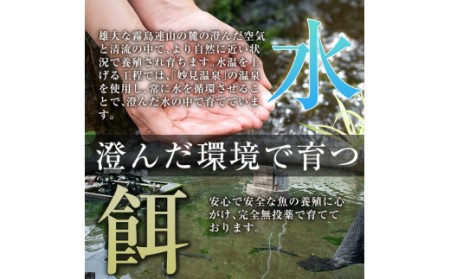 B-128-RT ＜冷凍でお届け＞霧島市育ちのあの「うなぎ」150～170g×3尾霧島市 鰻 蒲焼 国産