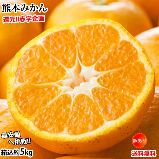 みかん 5kg 送料無料 訳あり 箱込（内容量4kg＋補償分500g) 無選別 熊本みかん 極早生みかん 早生みかん 温州みかん蜜柑 ミカン