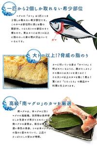 南マグロ大トロカマ2kg　加熱用　塩焼きや煮付けに