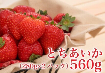 [先行予約] 完熟朝摘み とちあいか 280g×2パックセット｜ いちご 苺 フルーツ 果物 産地直送 [0408]