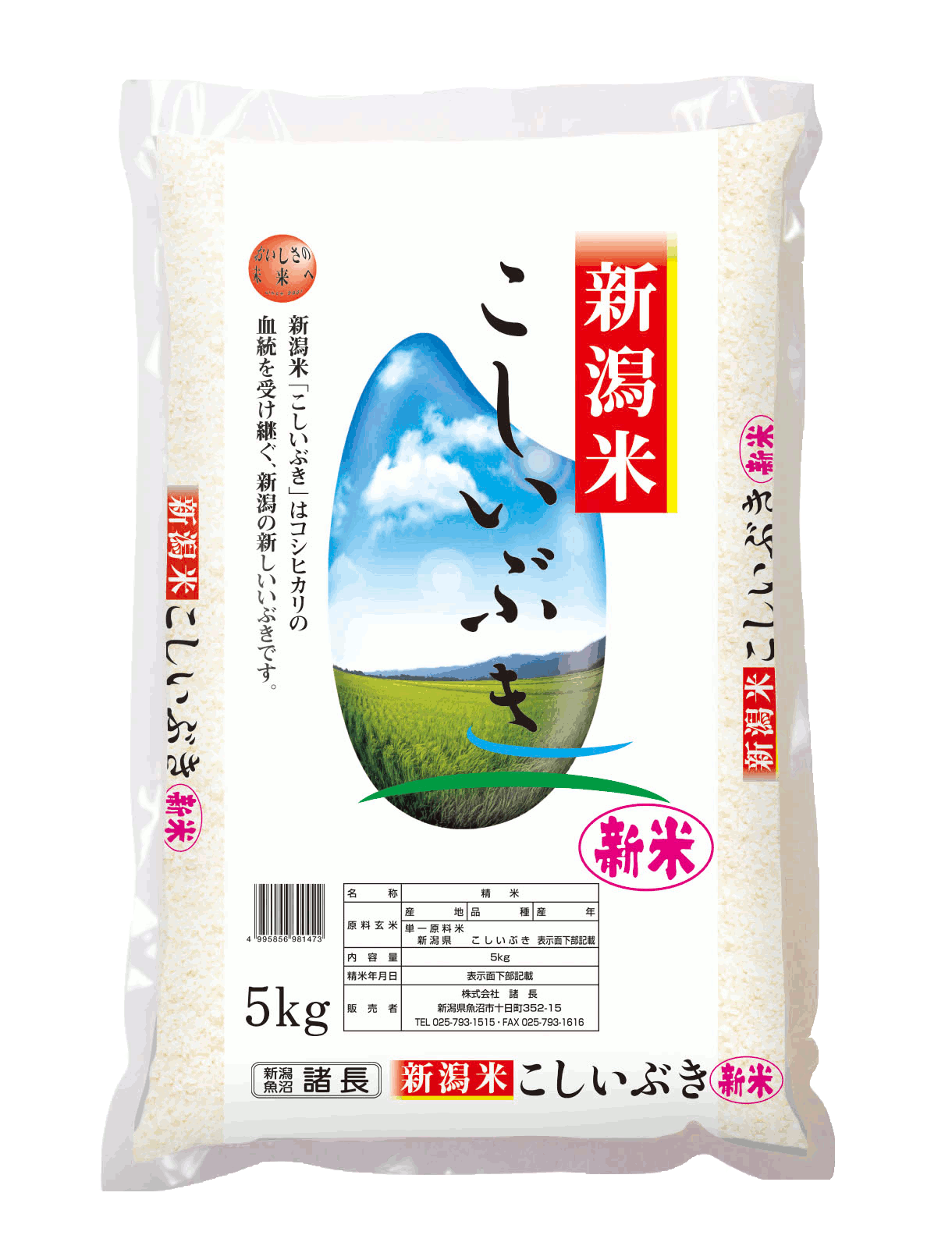 　新潟産こしいぶき　精米　5kg　産地直送