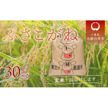 ふるさと納税 令和5年産 千葉県産「ふさこがね」玄米30kg（30kg×1袋） 千葉県大網白里市