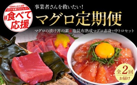 事業者さんを救いたいマグロ2ヶ月定期便／1回目：マグロの漬け丼、2回目：塩昆布14日間熟成マグロ赤身＆中トロセット