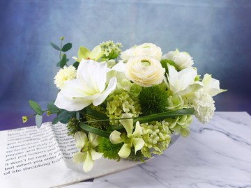 白君子蘭陸蓮不鏽鋼盆花禮 免運專人配送限雙北市 其餘地區需補費