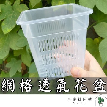 【台灣現貨-免運】養根盆 花盆 盆栽 方形 塑膠盆 塑膠花盆 盆栽容器 水泥花盆 水泥盆 花器 盆器 大花盆 盆 園藝