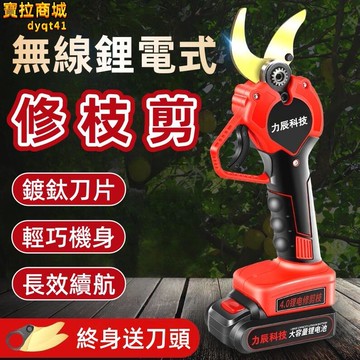 【新店熱銷】剪刀 果樹修枝剪 園藝修枝剪 園林修枝剪