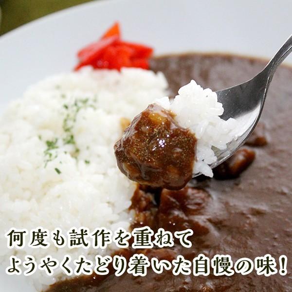 レトルト 博多 欧風黒カレー 4食セット グルメ お取り寄せ 送料無料 ご当地グルメ ビーフカレー 訳あり  得トクセール