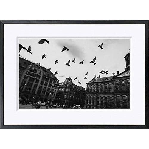 WITH FOTO インテリアフォト額装 A3 広場から飛び立つ鳩 Pigeons Flying on Square