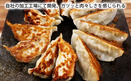 笑顔大吉ポーク 大吉肉餃子 72個