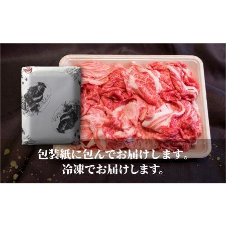 ふるさと納税 丸明 飛騨牛 A5 切り落とし 500g      和牛 国産  ブランド牛 5等級 飛騨高山   TR3733 岐阜県高山市