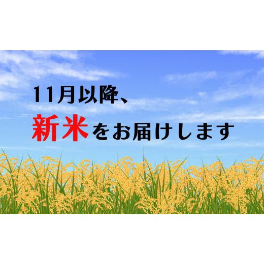 ふるさと納税 熊本県 玉名市 仲山さんちのお米（検査米）10kg×12回