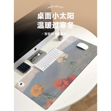 ins冬季加熱鼠標墊辦公室大號可愛防凍手電腦暖桌墊恒溫定時桌面鼠標暖手寶學生學習寫字發熱保暖防水皮革墊