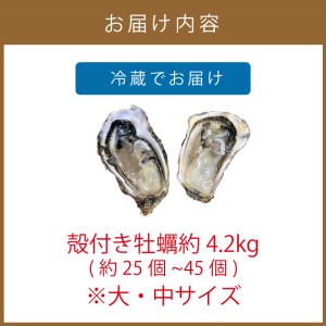 サロマ湖産殻付き2年牡蠣4.2kg※牡蠣ナイフ付 カキ かき 4.2キロ 魚介 海鮮 貝 ふるさと納税 BBQ バーベキュー