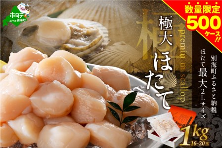 プレミアム極大ホタテ 1kg（16－20玉）（ ほたて ホタテ 帆立 貝柱 玉冷 北海道 野付 別海町 人気 ふるさと納税 ）