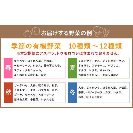 ふるさと納税  季節の野菜詰め合わせ 〜有機野菜セットA〜 北海道北広島市