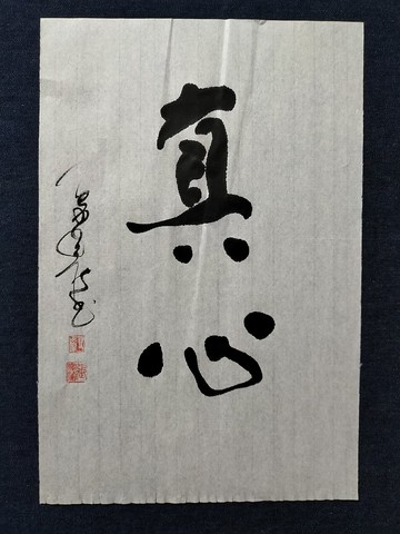 真心  隨意楷  未裱