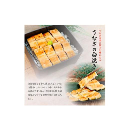 ふるさと納税 高知県 田野町 田野町産うなぎの蒲焼き(大) うなぎの白焼き(大) 各2尾×6回 定期便 6ヶ月 定期コース 1尾あたり120〜150g タレ付き 山椒付き う…