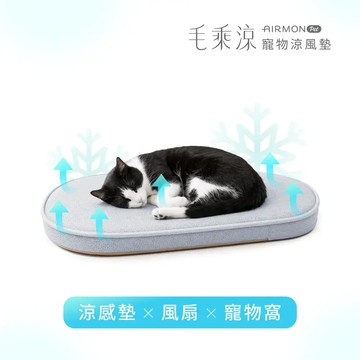 AIRMON Pet 毛乘涼 寵物涼風墊