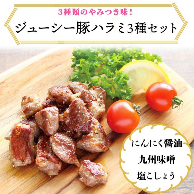 送料無料 冷凍 ジューシー豚ハラミセット 塩胡椒味 150g×3袋 九州味噌味 150g×3袋 にんにく醤油味 150g×3袋 ハラミ 豚肉 希少 味付け惣菜 肉 バーベキュー