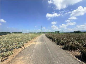 新大埔美段大地坪農地｜嘉義縣大林鎮大埔美