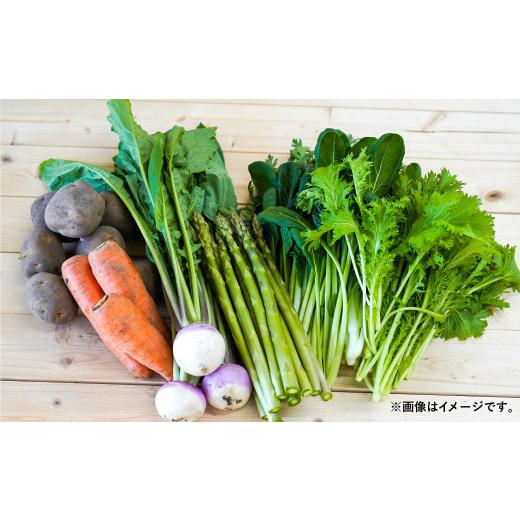 ふるさと納税 北海道 北広島市 おまかせ旬野菜セット 旬 野菜 セット 北海道 北広島市