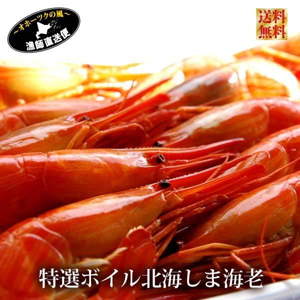 シマエビ Lサイズ 500g ×2パック 計1kg しまえび 特選 北海シマエビ しま海老 北海道 エビ えび 父の日