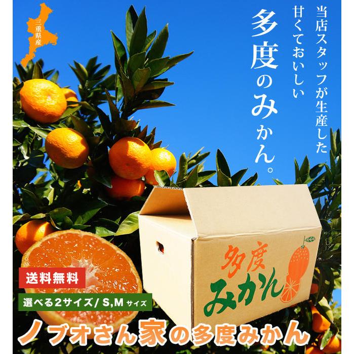 ノブオさん家の多度みかん 10kg 1箱 同梱不可 12月中旬〜翌年1月中に順次発送予定。