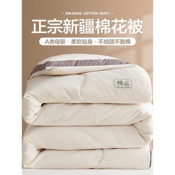 (免運)HIGH新疆棉花被子被芯夏被純棉被加厚保暖雙單人宿舍春秋被褥家用