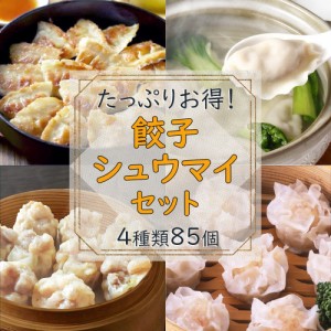 冷凍食品 中華 惣菜 セット 餃子 シュウマイ 4種類 85個 セット 飲茶 パーティー おつまみ お試し ギョーザ 焼売