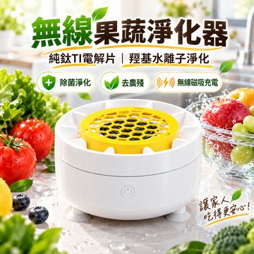 果蔬淨化器 蔬果清洗機 洗菜 清洗機 食材清潔機 蔬果淨化器 食材清潔廚房家用