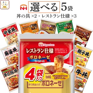 レトルト食品 常温 惣菜 詰め合わせ 選べる レトルト カレー ハヤシ パスタソース 丼の具 5袋 セット  日本