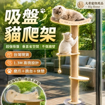 【台灣現貨/隔日達】吸盤貓爬架 牆上貓跳台 垂直貓爬架 寵物吸盤玩具 貓咪跳台 不傷牆壁 貓咪運動 貓咪樂園 室內攀爬架