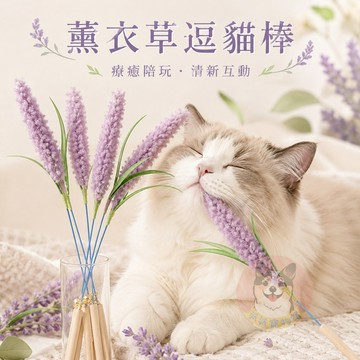 薰衣草逗貓棒💜 逗貓棒 貓玩具 貓咪玩具 寵物玩具 逗貓玩具 幼貓玩具 豆貓棒 貓的玩具 老鼠 羽毛逗貓棒 貓咪 小貓玩