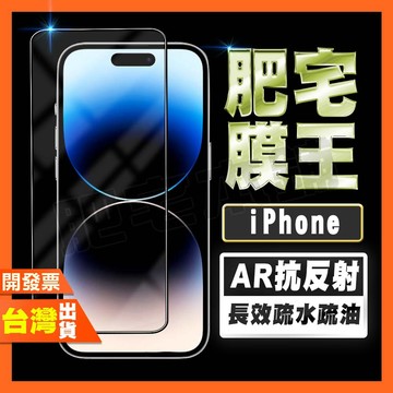 IPHONE 13 12 11 PRO MAX XS MAX X 指紋辨識 AR抗反射 鋼化膜 保護貼