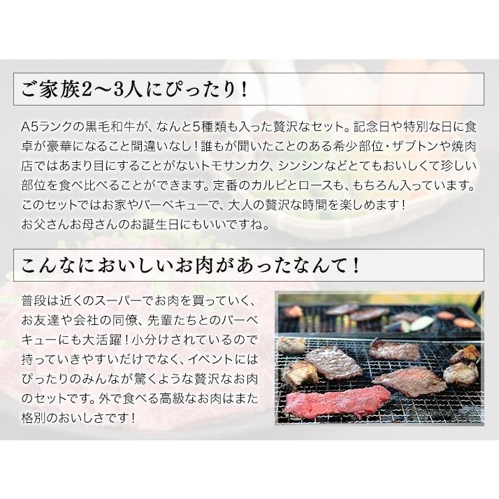 焼肉 セット 国産 国産牛 バーベキュー 肉 黒毛和牛 カルビ bbq 贅沢セット 500g 送料無料